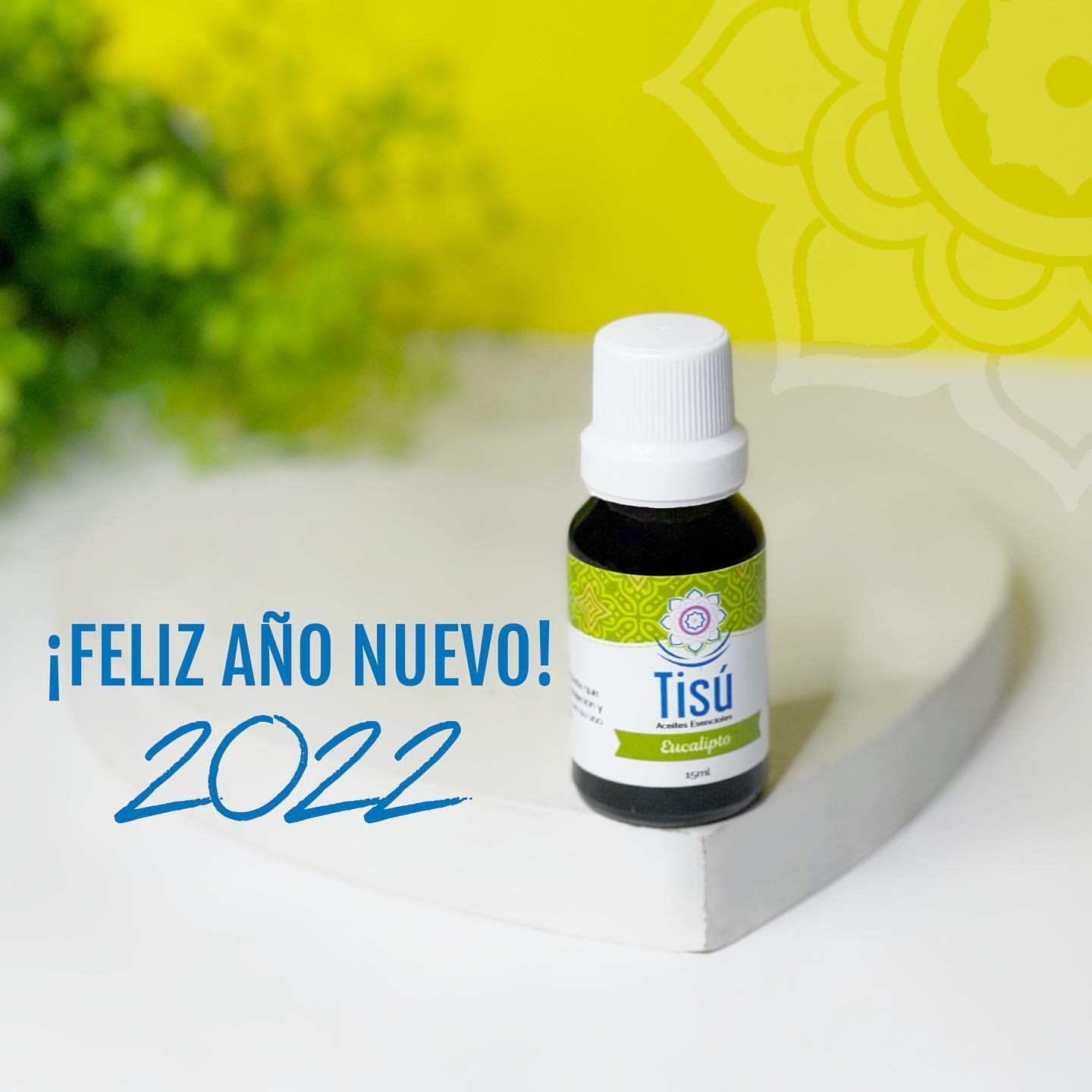 Aceite esencial de Eucalipto