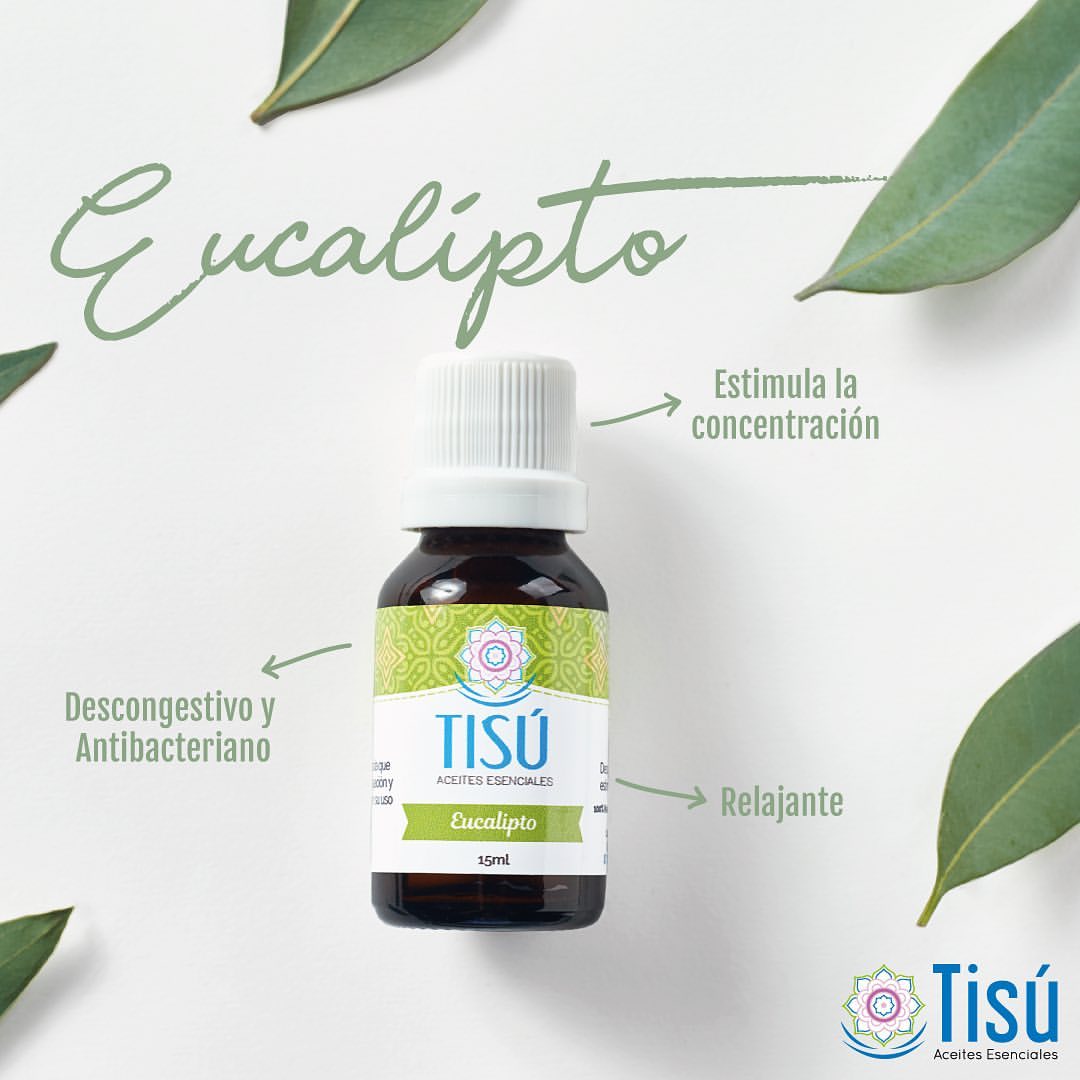 Aceite esencial de Eucalipto